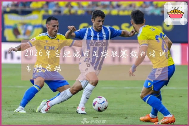 2026年合肥城市足球联赛裁判培训专题启动